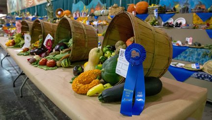 8 24 Prized baskets of veggies D415860